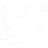 twitter-bird-48